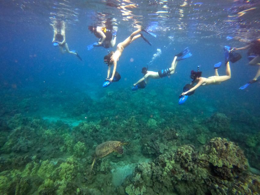 Maui: Guided Sea Scooter Snorkeling Tour - Directions