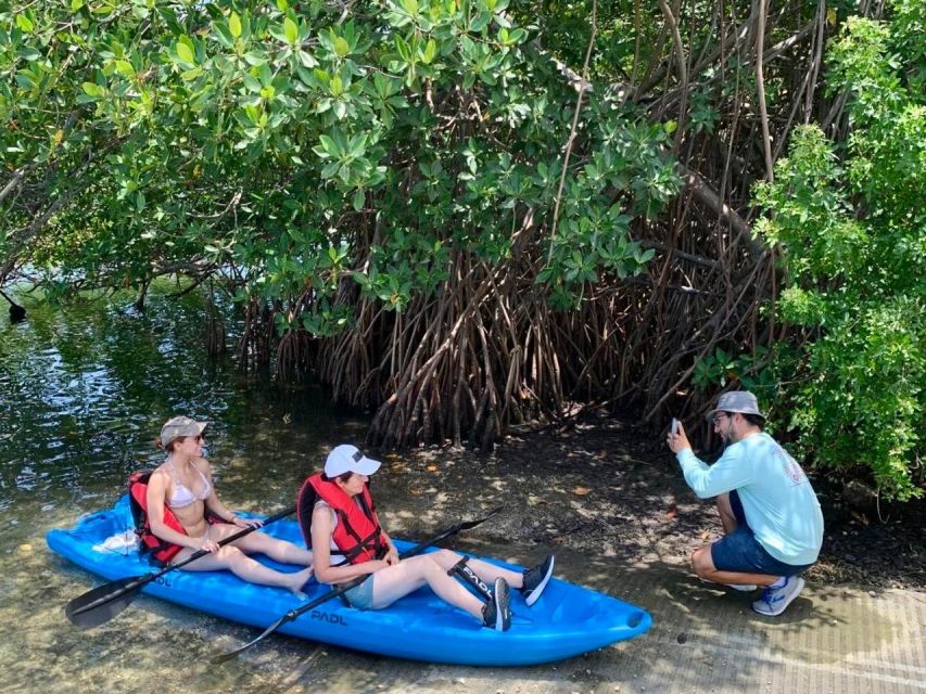 Miami: Manatee Season Tour Paddleboard or Kayak Tour - Common questions