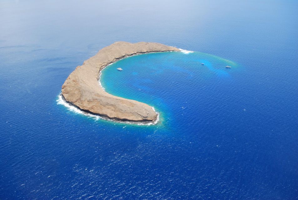 Molokini Snorkel & Slide 7AM - 12PM - Additional Tips