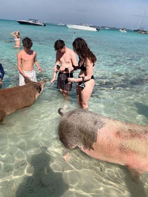 Nassau: Self-Drive Speedboat Ride and Pig Swimming Encounter - Activity Inclusions