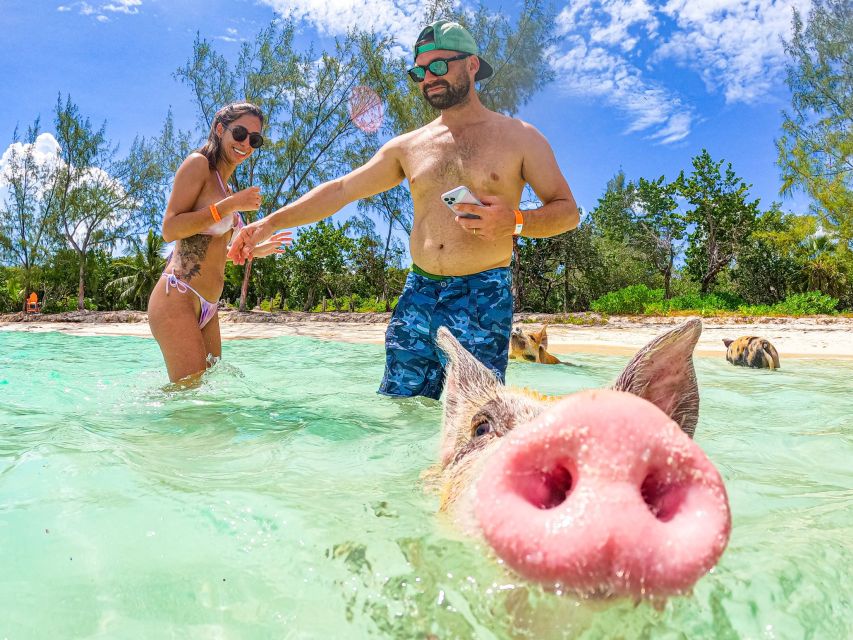 Nassau: Sun Cay and Swimming Pigs Boat Trip With Lunch - Meeting Point and What to Bring