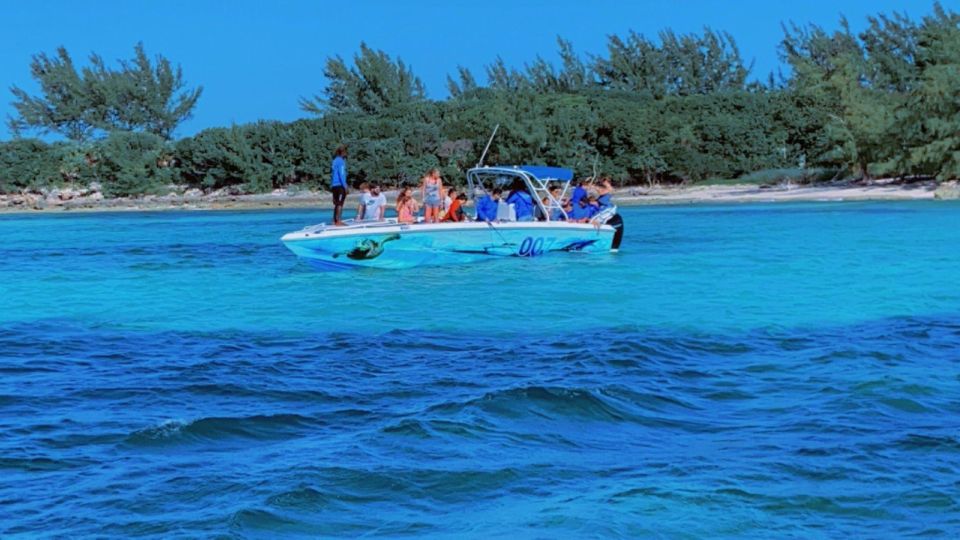 Nassau: Swimming Pigs, Turtle Viewing, Snorkeling, and Lunch - Directions