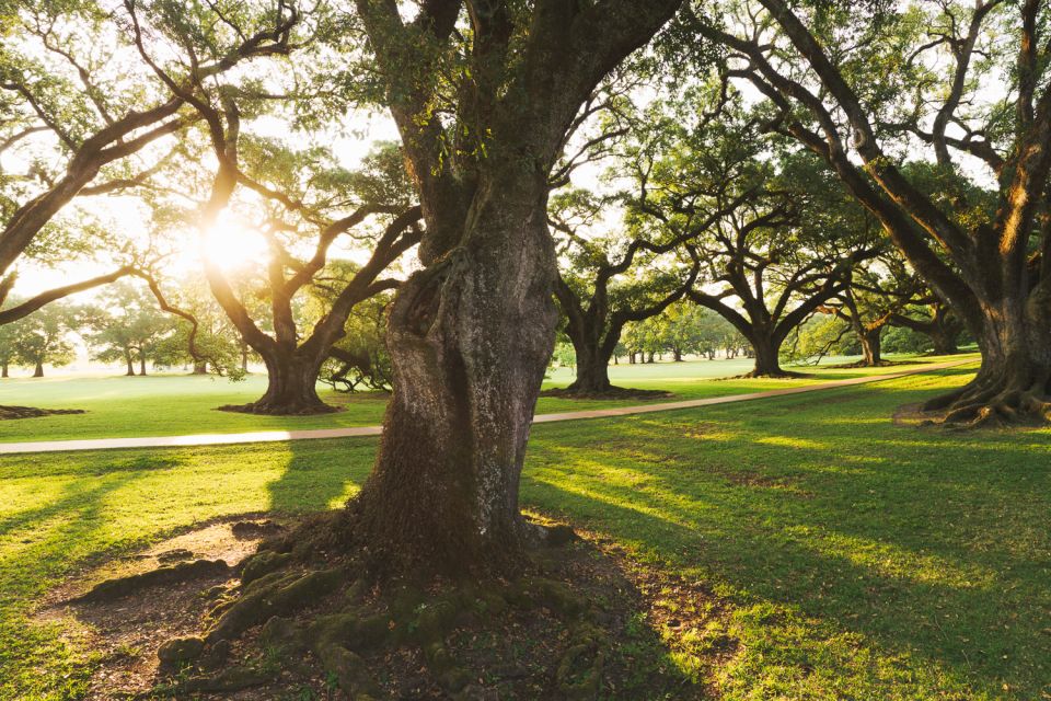 New Orleans: Oak Alley Plantation and Swamp Cruise Day Trip - Booking and Payment Instructions