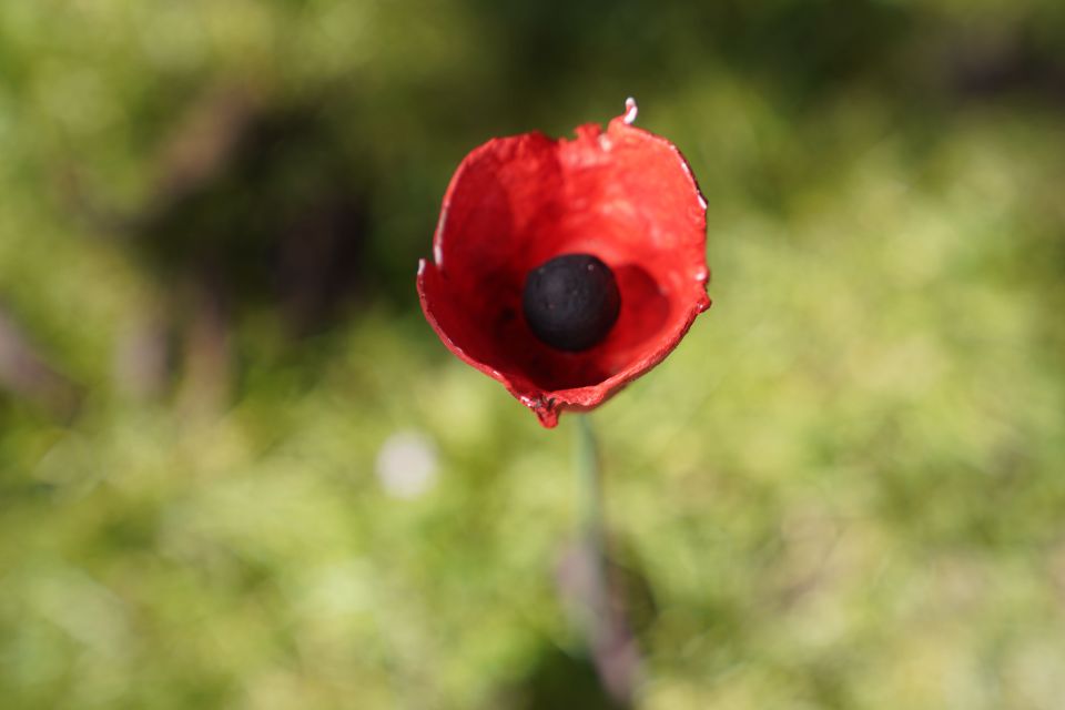 Normandy D-Day Beaches Private Canadian Sector From Bayeux - Additional Information