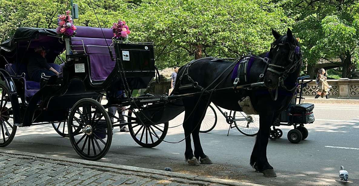 NYC Empire State Horse Carriage Rides (Central Park Tour) - Common questions
