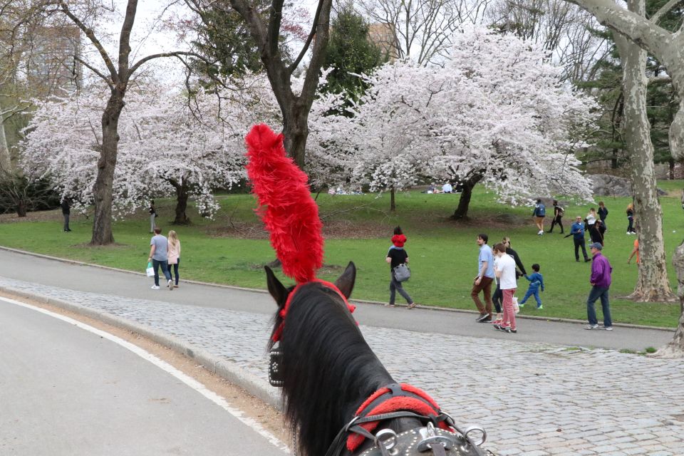 NYC: Guided Standard Central Park Carriage Ride (4 Adults) - Experience Highlights