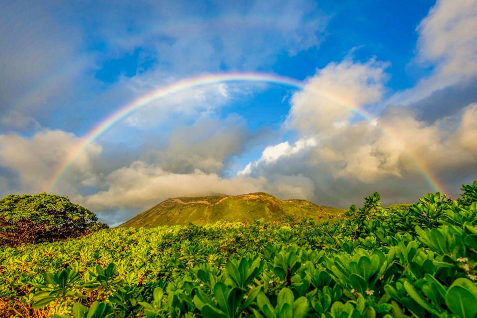 Oahu: 10-Hour Sunrise & Scenic View Points Photo Tour - Key Points