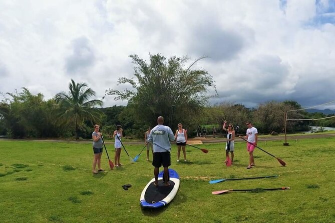 Oahu North Shore Small-Group Stand-Up Paddleboard Turtle Tour - Common questions