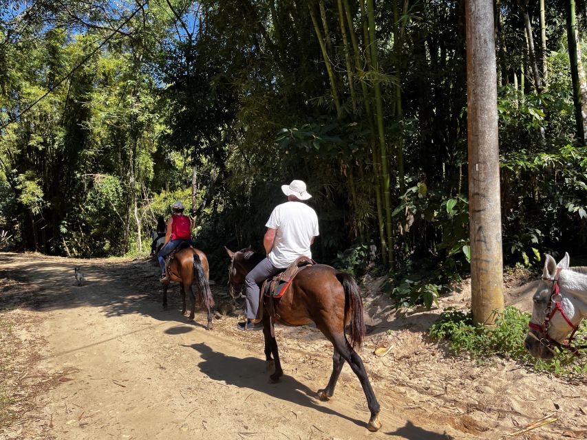 Paraty: 3-Hour Rainforest Horseback Ride - Restrictions and Requirements