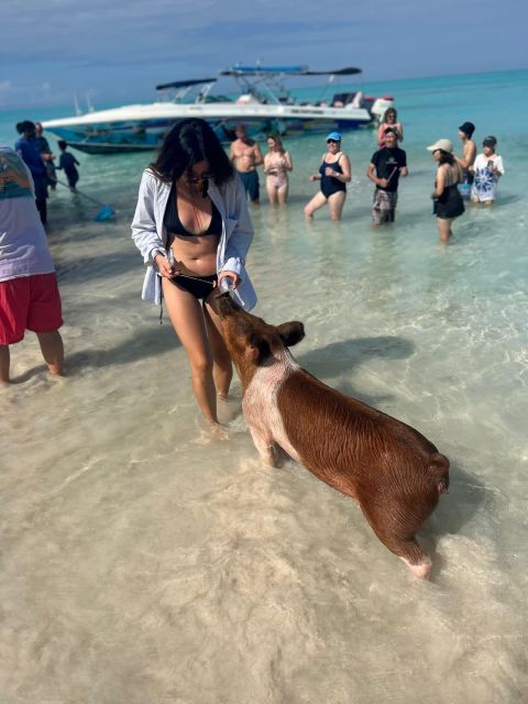 Perfect Day - Swimming Pigs, Snorkel & Beach Club - Sum Up