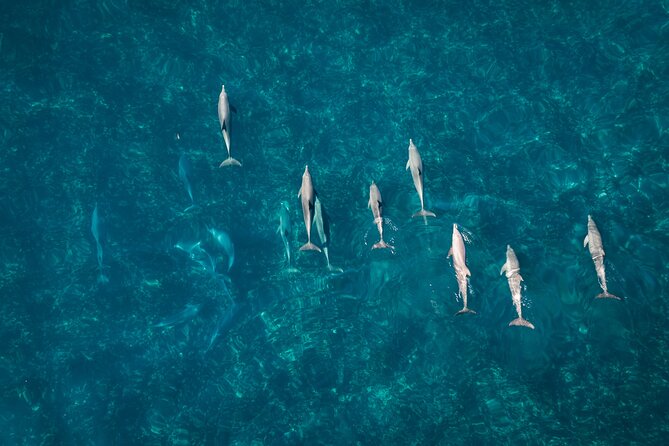 Pink Lake and Abrolhos Flyover Tour - Booking and Reservation Process