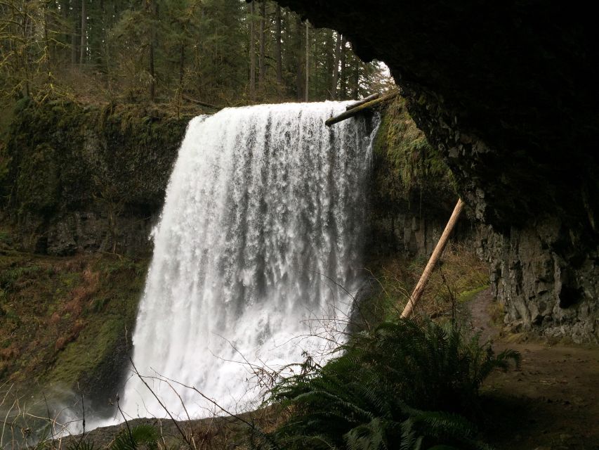 Portland: Silver Falls Hike and Wine Tour - Customer Reviews