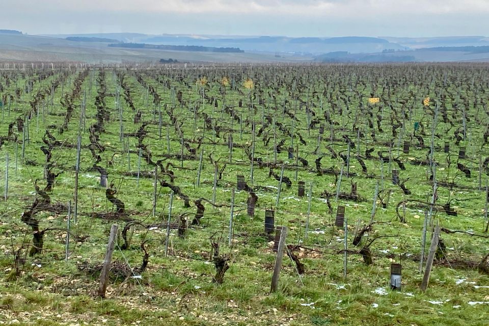 Private Burgundy 4 Domains 20 Chablis Wines Caves From Paris - Reservation Process