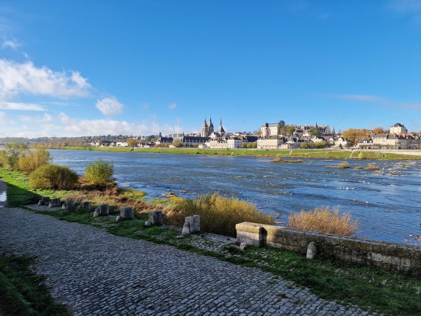 Private Day Tour to Loire Valley Castles & Wines From Paris - Sum Up