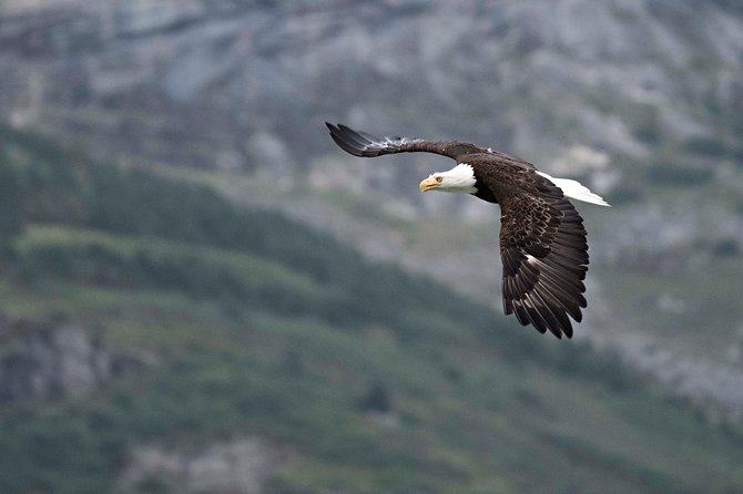 Private Photography Tour to Haines - Skagway Departure - Pricing and Booking Details