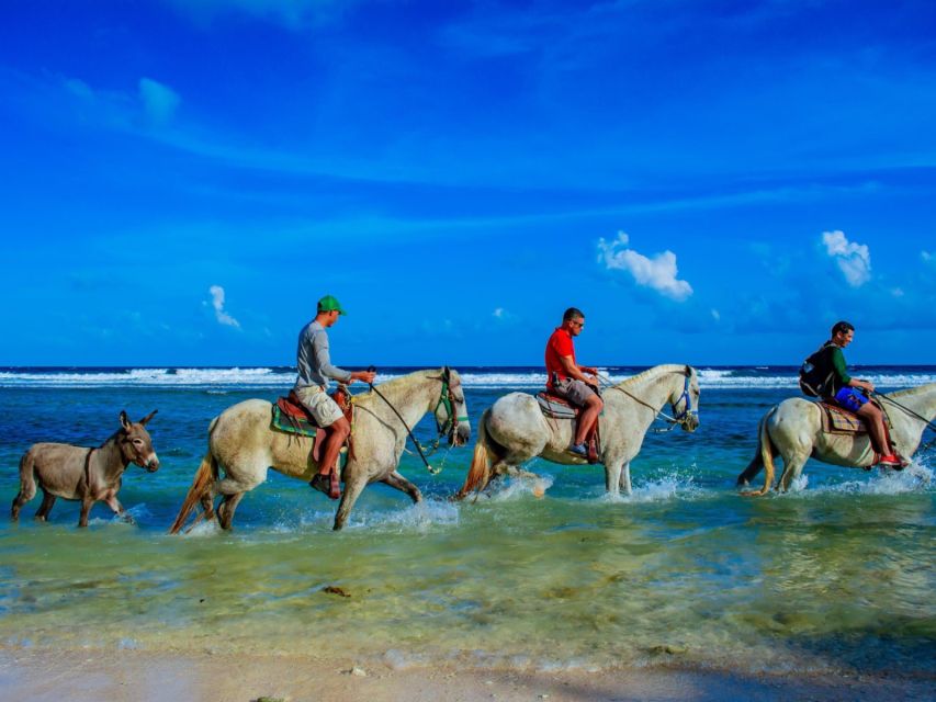 Punta Cana: Horseback Riding Amazing Adventure - Sum Up