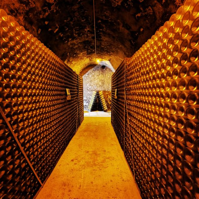 Reims/Epernay: Private Moet & Chandon Winery Tour & Tastings - Price and Availability