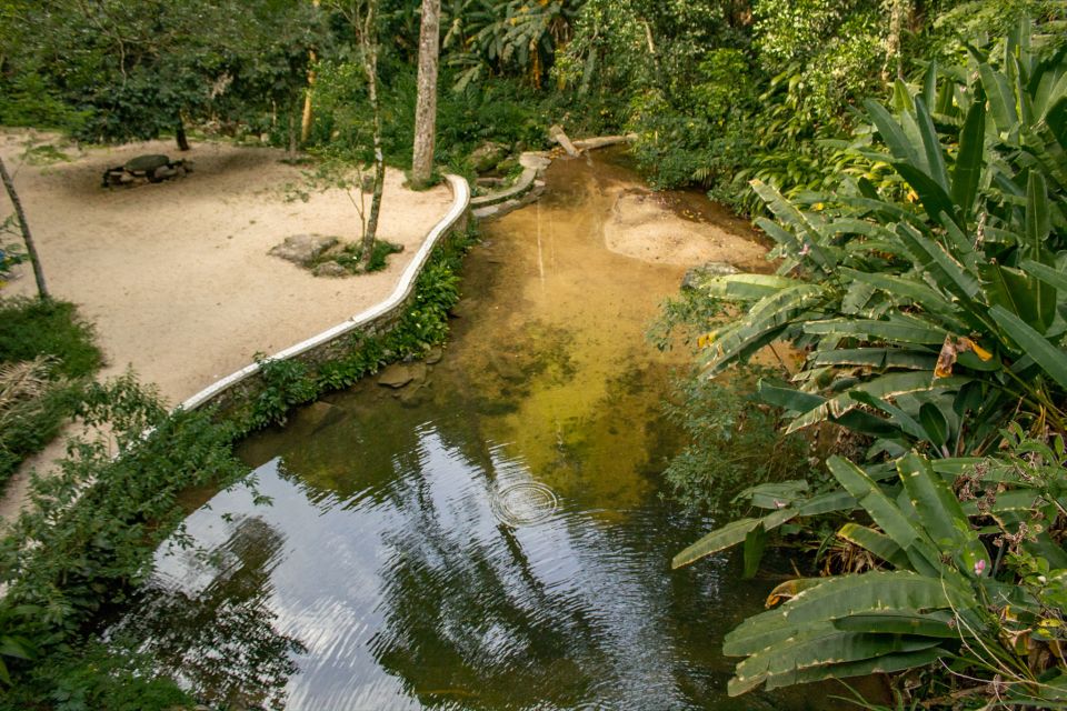 Rio: Half-Day Jeep Tour at Floresta Da Tijuca - Sum Up