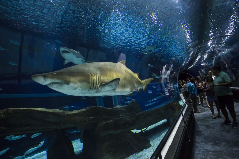 Rio: Olympic Boulevard, AquaRio and Museum of Tomorrow Tour - Museum of Tomorrow