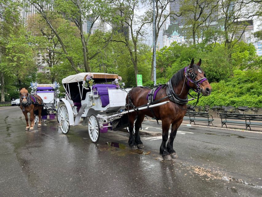 Royal Carriage Ride in Central Park NYC - Cancellation Policy