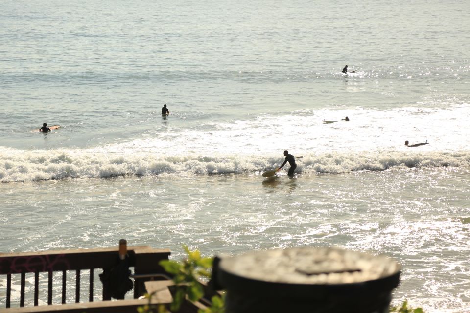 Santa Monica: Surfing Day Trip With Lunch - Price and Booking Details