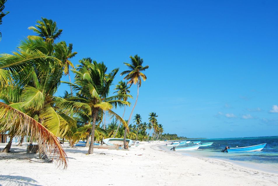 Saona Island: Beach & Pool Cruise With Lunch From Bavaro - Price and Duration