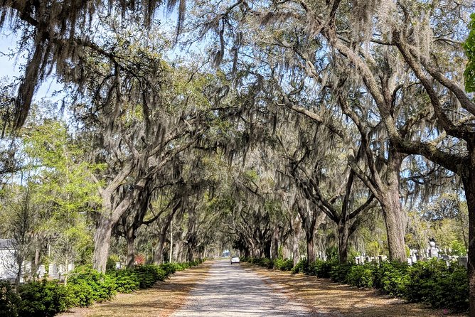 Savannah VIP Tour: Private Full-Day Tour - Common questions