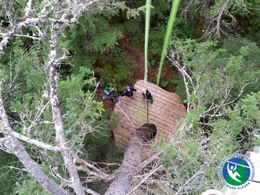 Seward: Stoney Creek Canopy Adventure - Activity Details