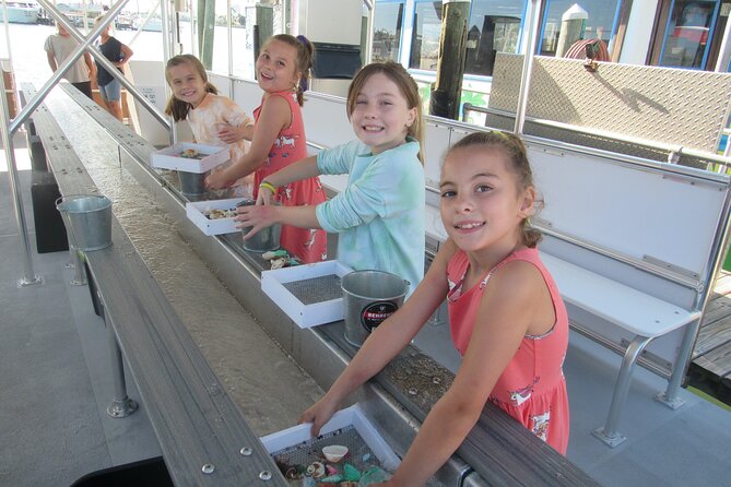 Shark Teeth and Shells, Dolphin and Shelling Tour Boat Clearwater Beach - Family-Friendly Water Fun