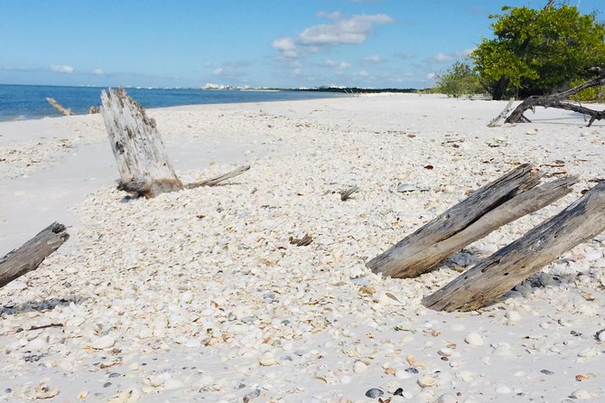 Shelling Tours - Fort Myers Beach / Naples - Common questions