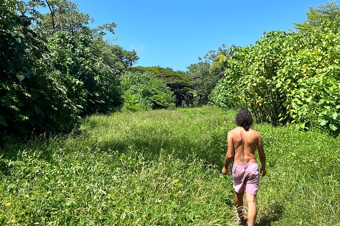 Short Private Hike To Secret Jungle Tide Pool - Negative Review