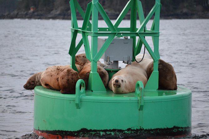 Sitka Shore Excursion: Whale-Watching and Marine Life Tour - Booking and Cancellation Information