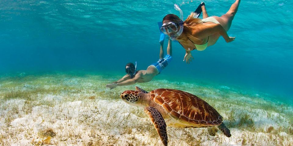 Snorkeling Activity With Boat Ride in Montego Bay - Sum Up