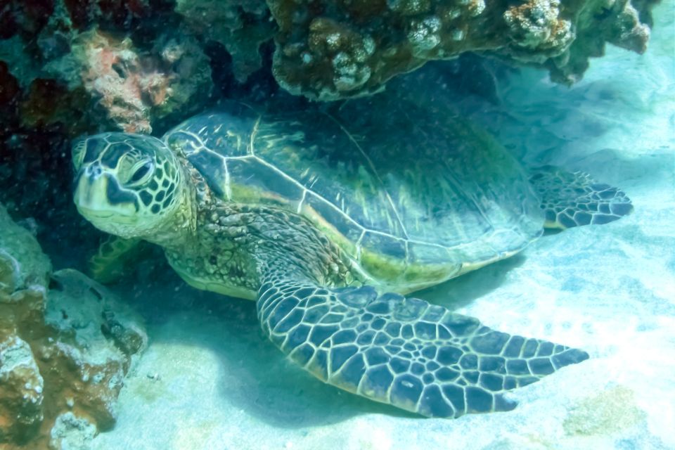 South Maui: Eco Friendly Molokini and Turtle Town Tour - Tour Itinerary