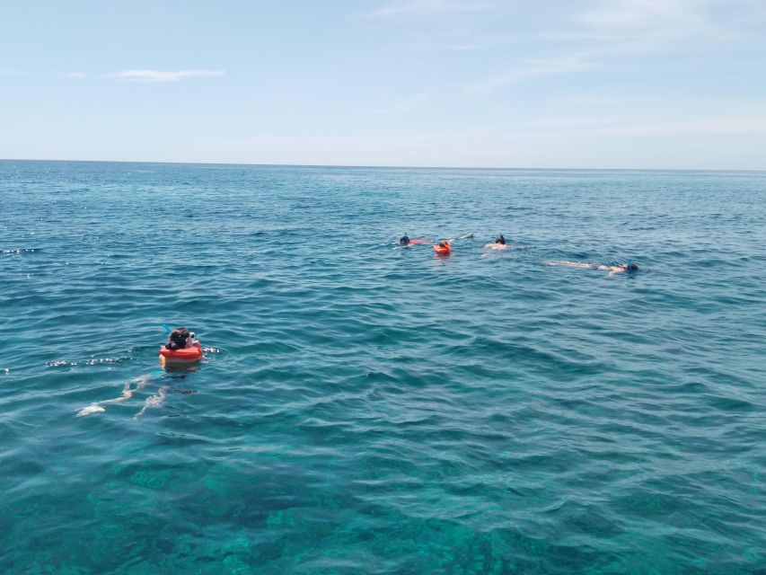 Spear-Fishing Bahamas - Sum Up