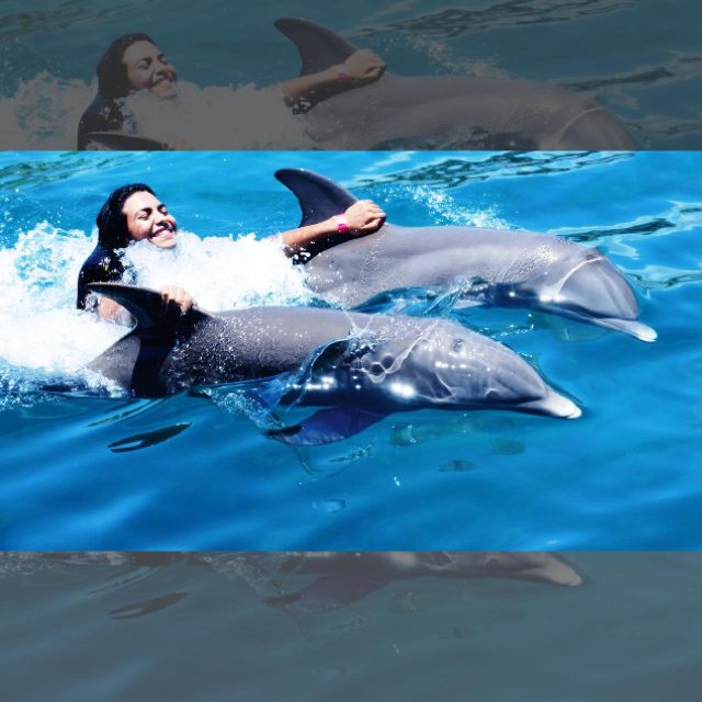 Swim With Dolphins at Ocean World Puerto Plata - Pickup and Drop-off Locations