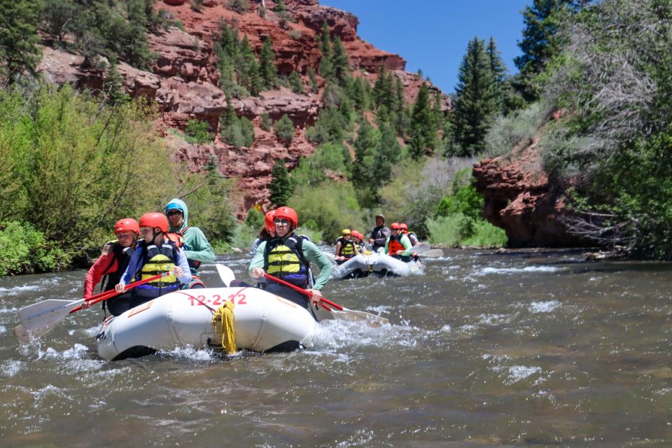 Telluride Whitewater Rafting - Morning Half Day - Pricing Information