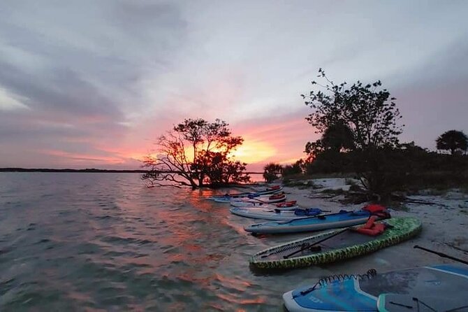 Titusville Sunset and Night Bioluminescence Kayak Paddle Tour  - Cocoa Beach - Additional Information