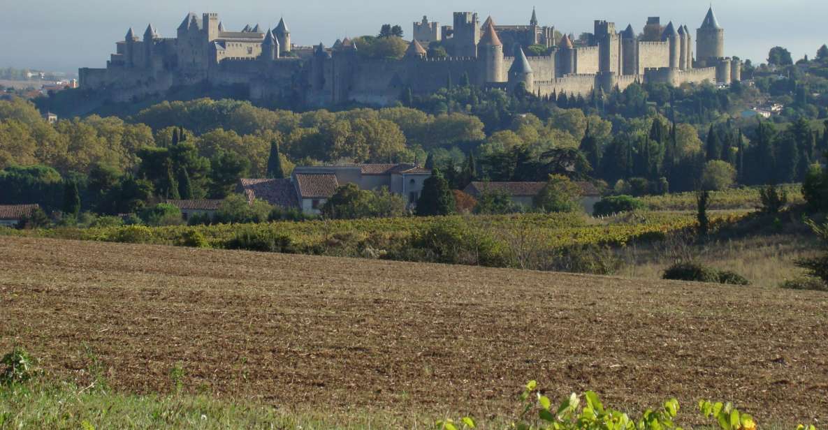 Toulouse to Carcassonne & Albi: Private Sightseeing Tour - Pricing and Reservations