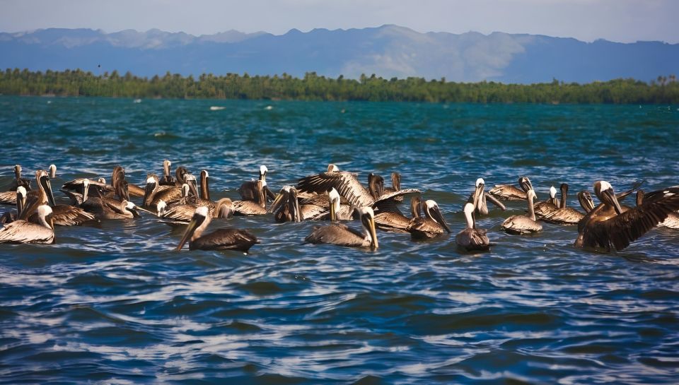 Tour Los Haitises, Montaña Redonda, and Yanigua Waterfall - Sum Up