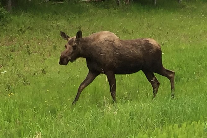 Turnagain Arm Tour: "A Must See Destination" - Cancellation Policy