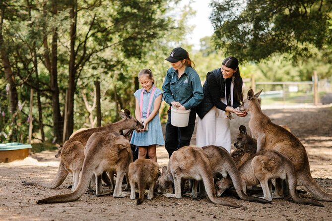 Wings Wildlife Park Tour With Burnie Attractions Bus - Wings Wildlife Park Highlights