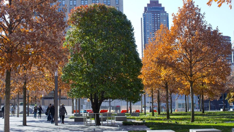 9/11 Memorial and Ground Zero Tour by Local Guide - Common questions