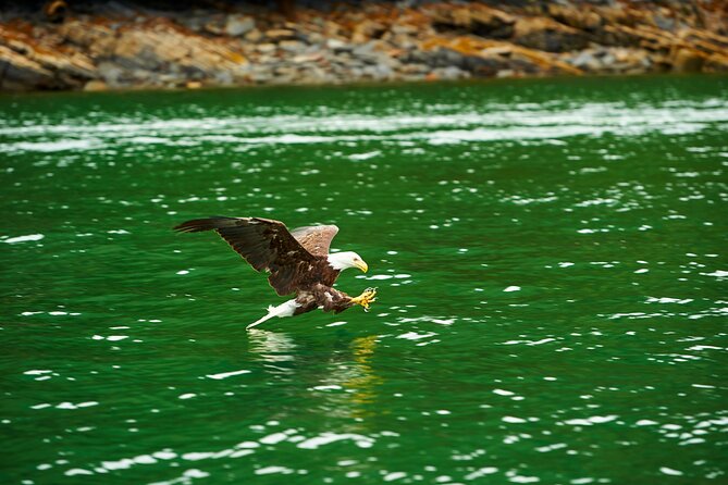 Alaskan Lodge Adventure and Seafeast - Boat Tour in Tongass National Forest