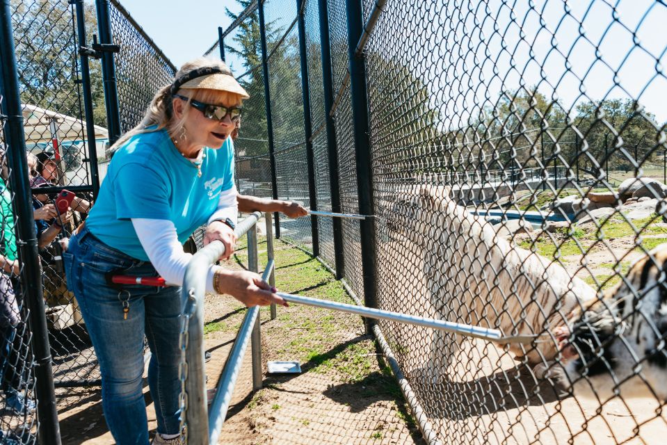 Alpine: Lions Tigers & Bears Sanctuary Visit and Feeding - Meeting Point