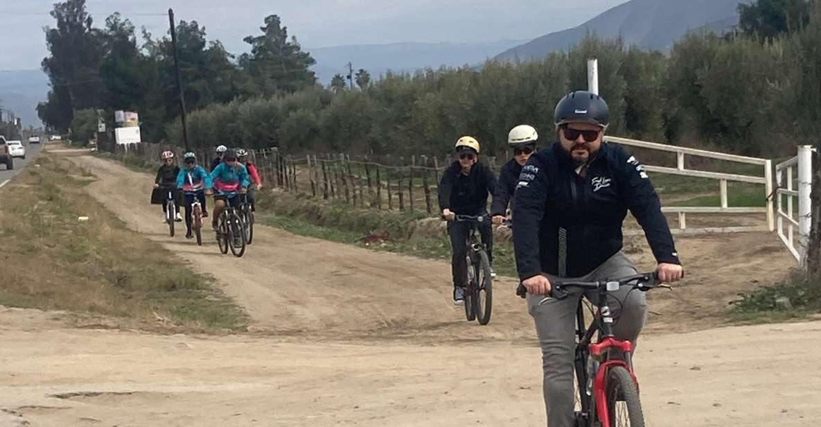Bike and Wine Tasting Across the Guadalupe Valley - Pricing Details