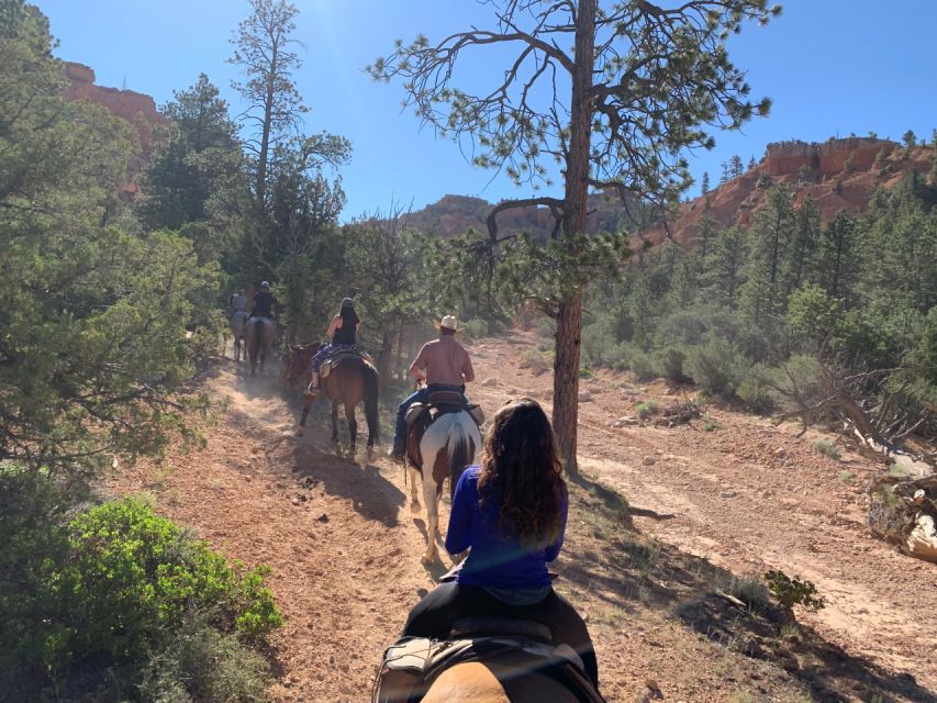 Bryce Canyon City: Red Canyon Horse Riding Day Trip W/ Lunch - Directions for the Horse Riding Tour