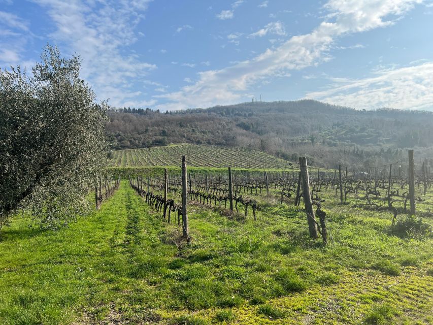 Chianti: Wine and Honey Tasting Half-Day Experience - Additional Information