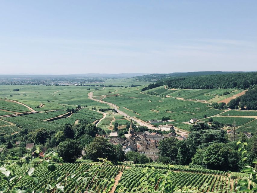 Côte De Beaune and Côte De Nuits : Private Full Day Winetour - Common questions