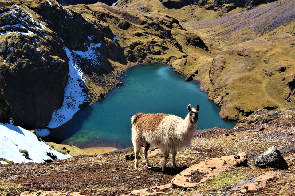 Cusco: 4-Day Lares Trek to Machu Picchu With Panoramic Train - Cancellation Policy